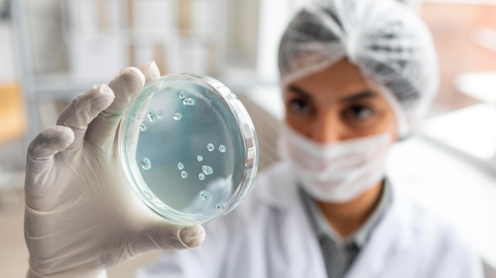 Why biofertilisers are not a quick fix for Africa’s farming crisis